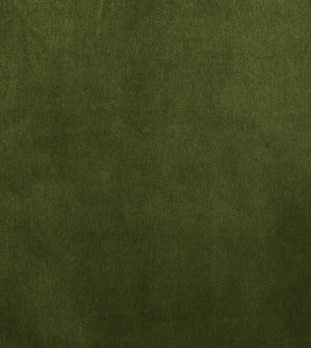 BRAHMS FERN