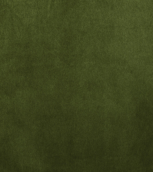BRAHMS FERN