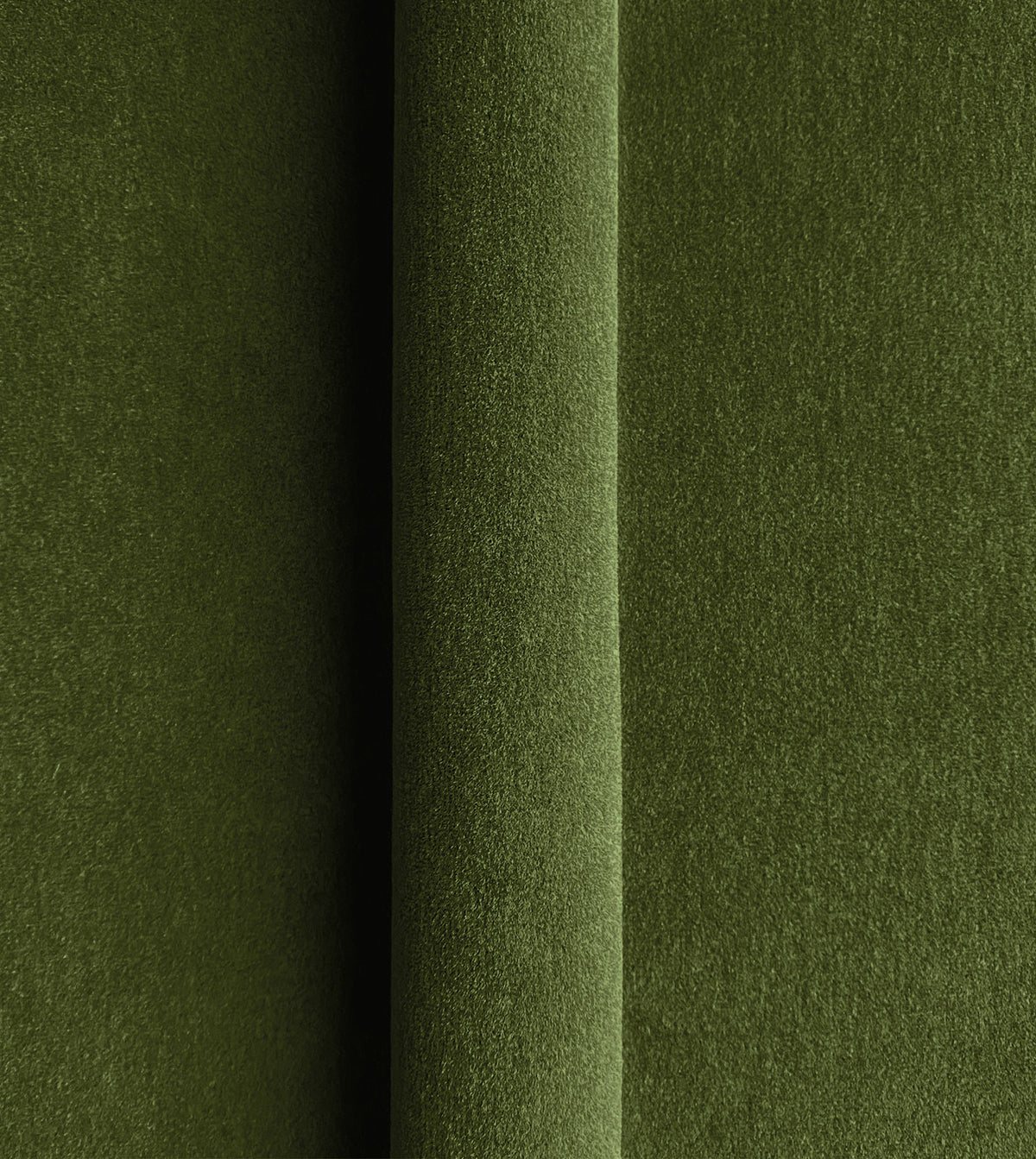 BRAHMS FERN