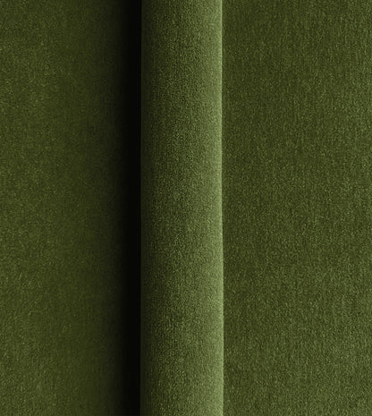 BRAHMS FERN