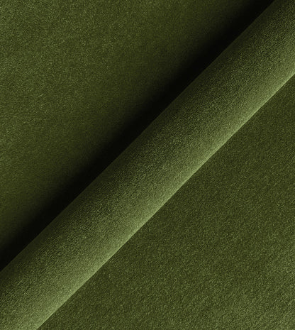 BRAHMS FERN