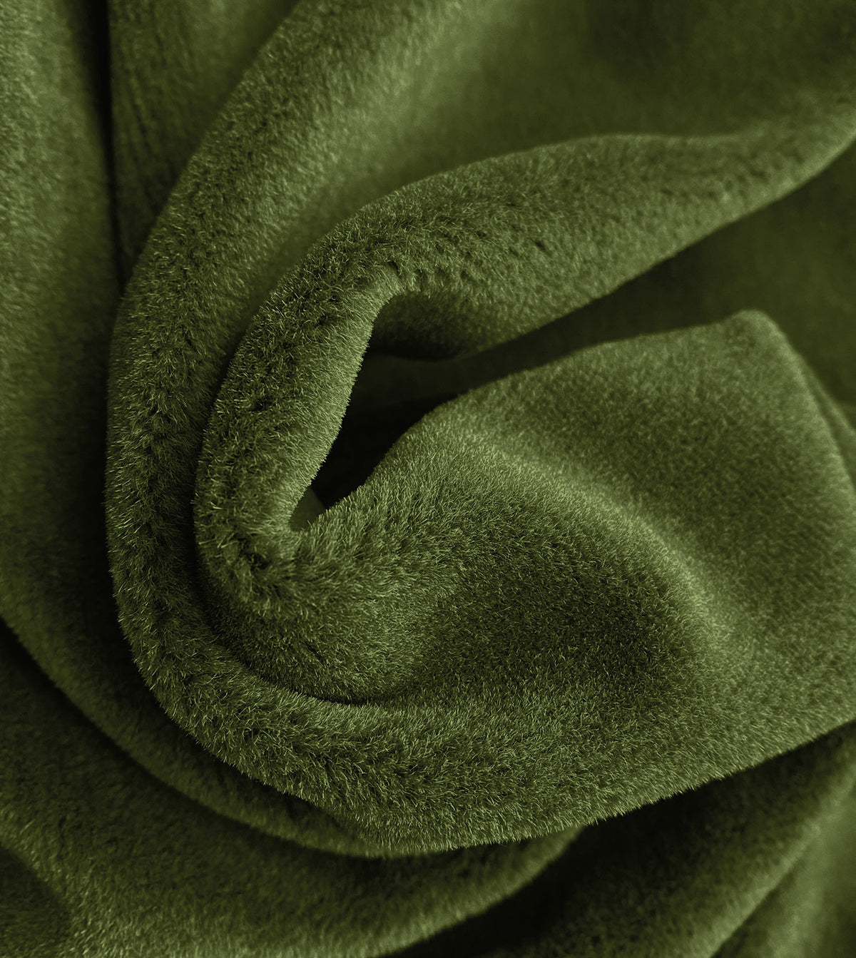 BRAHMS FERN