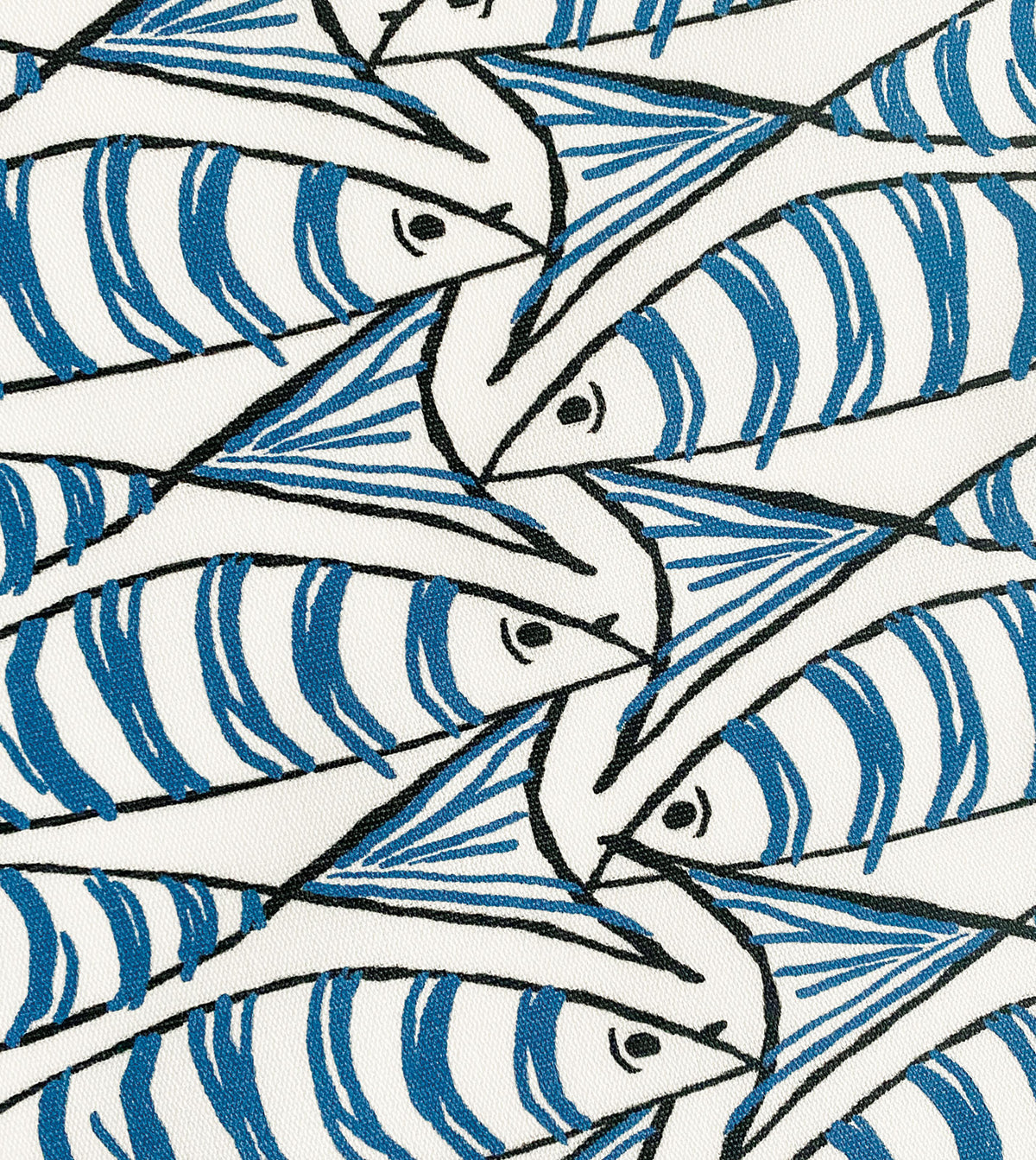 BOQUERONES SAPPHIRE