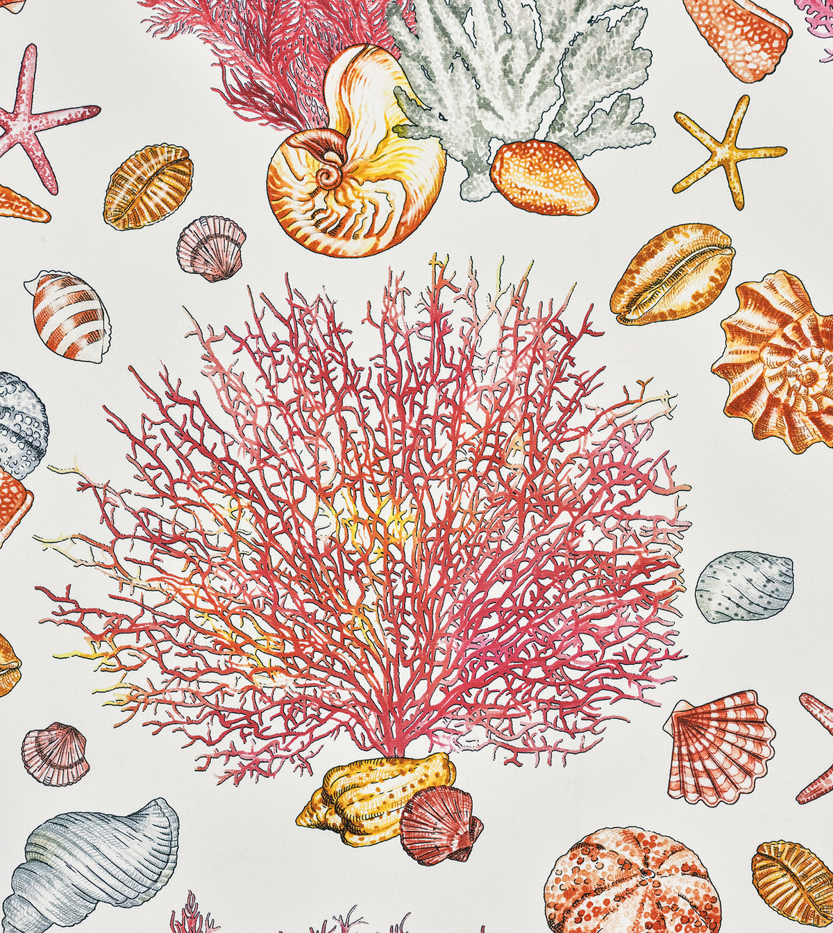 TAMARAMA CORAL