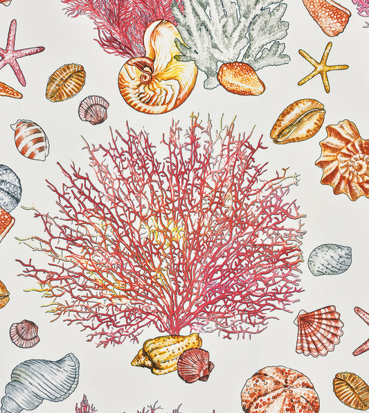 TAMARAMA CORAL