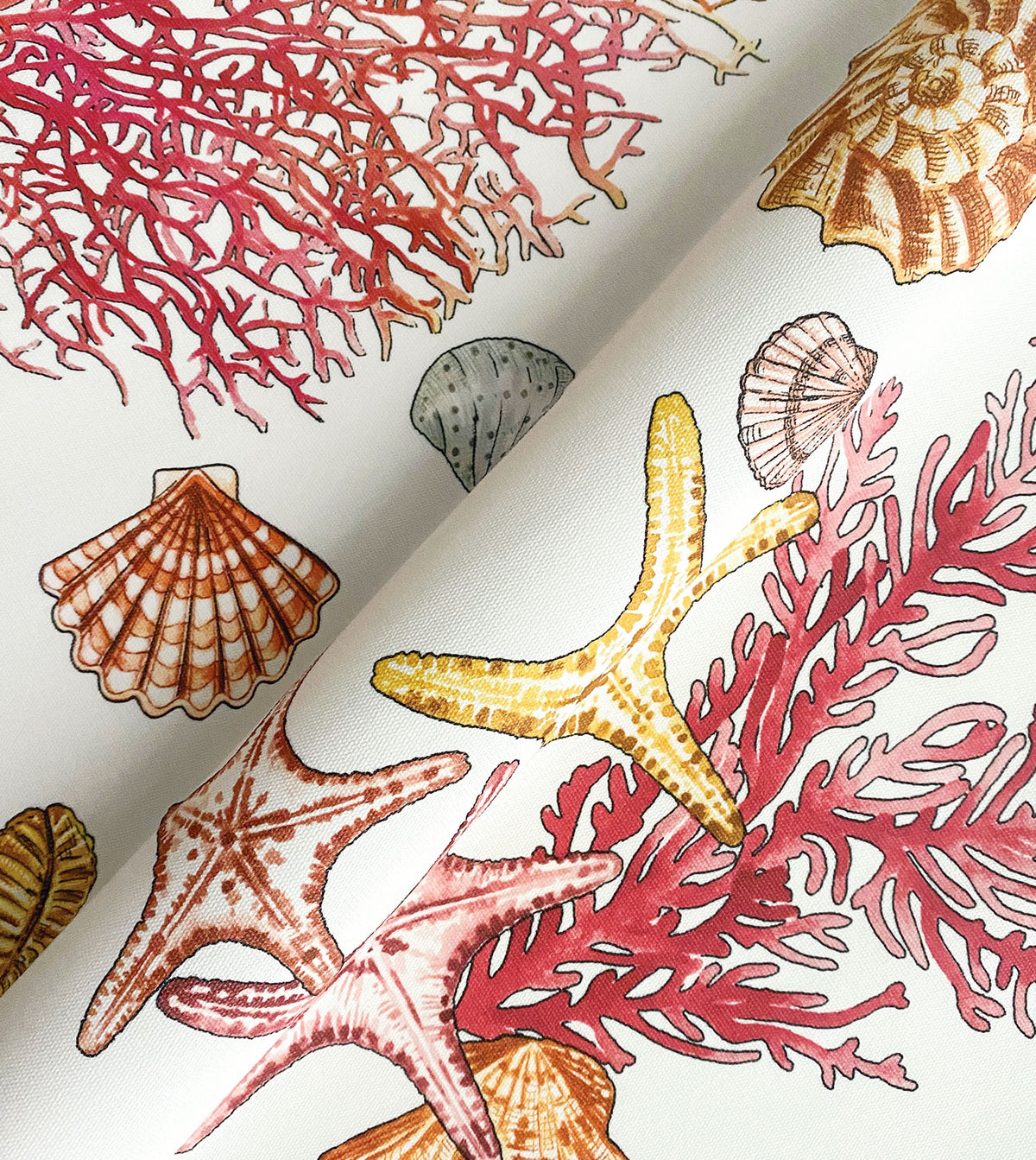 TAMARAMA CORAL