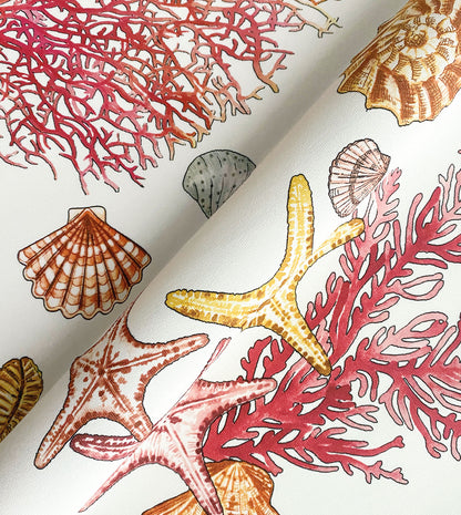 TAMARAMA CORAL