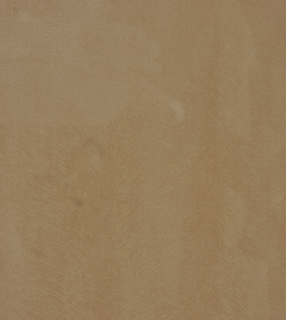 BANYAN SAND