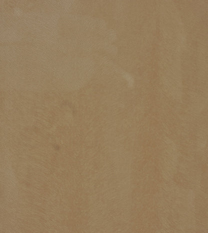 BANYAN SAND