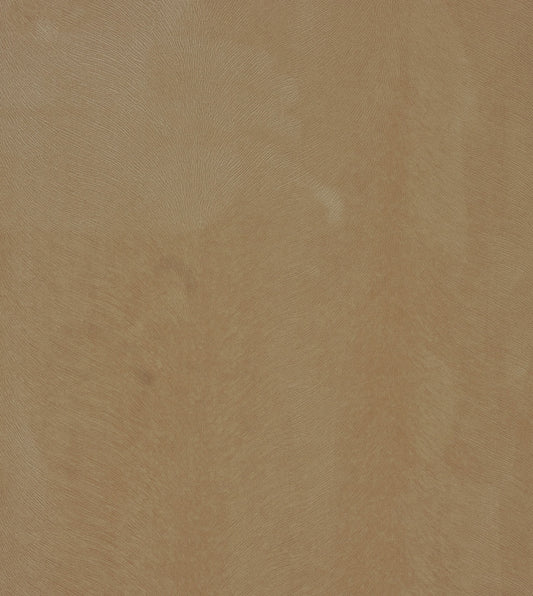 BANYAN SAND