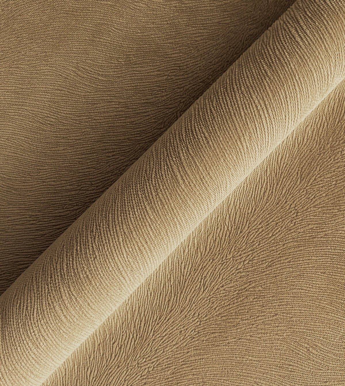 BANYAN SAND