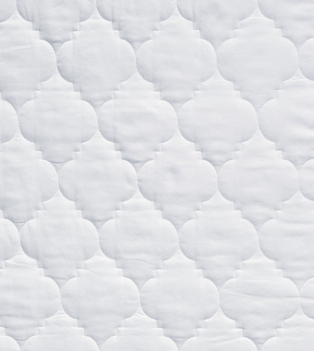 Viola White