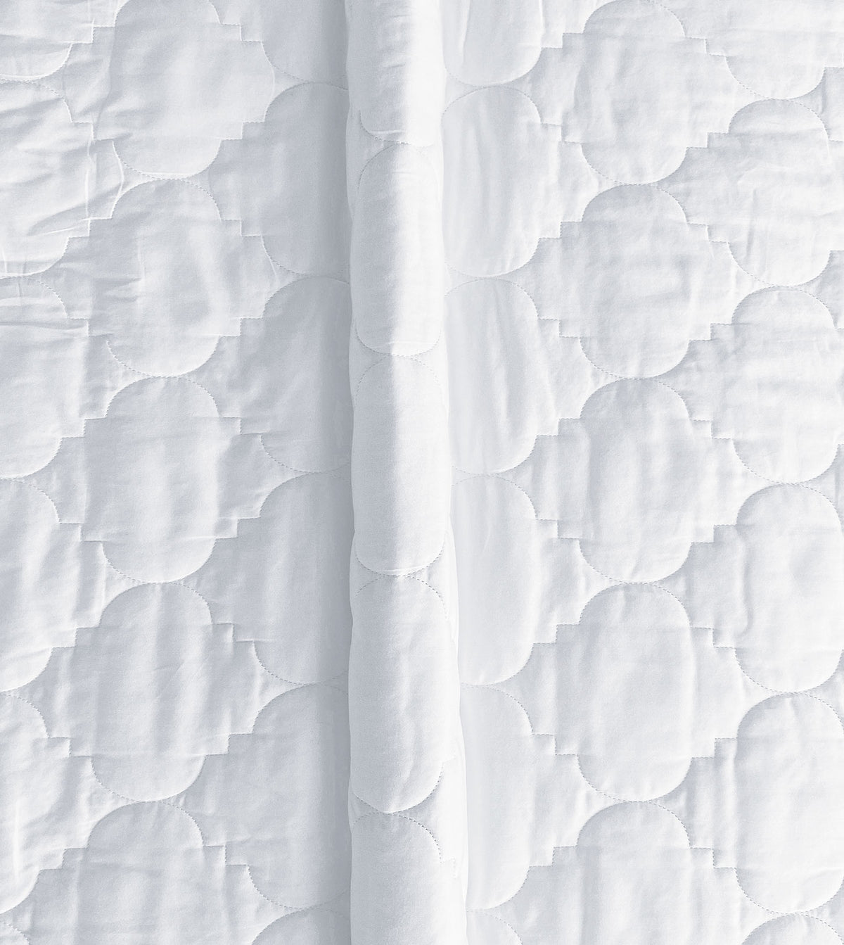 Viola White