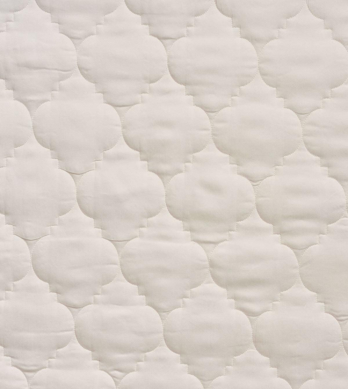 Viola Ivory