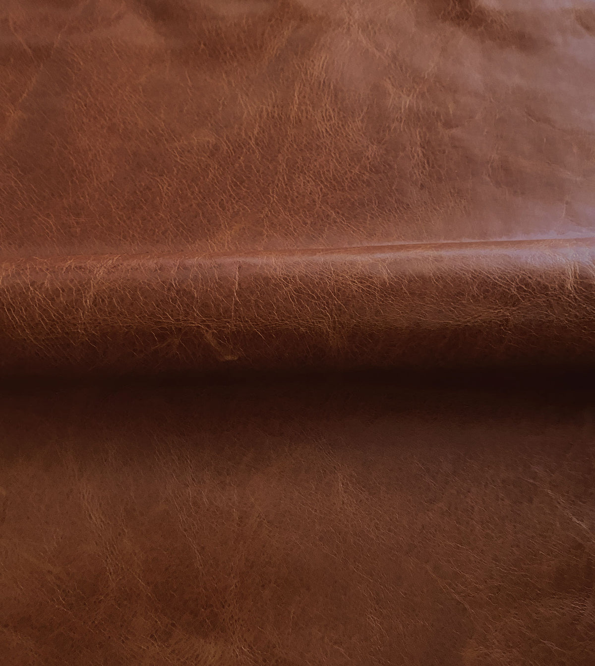 Tudor Cognac Leather Hide Full