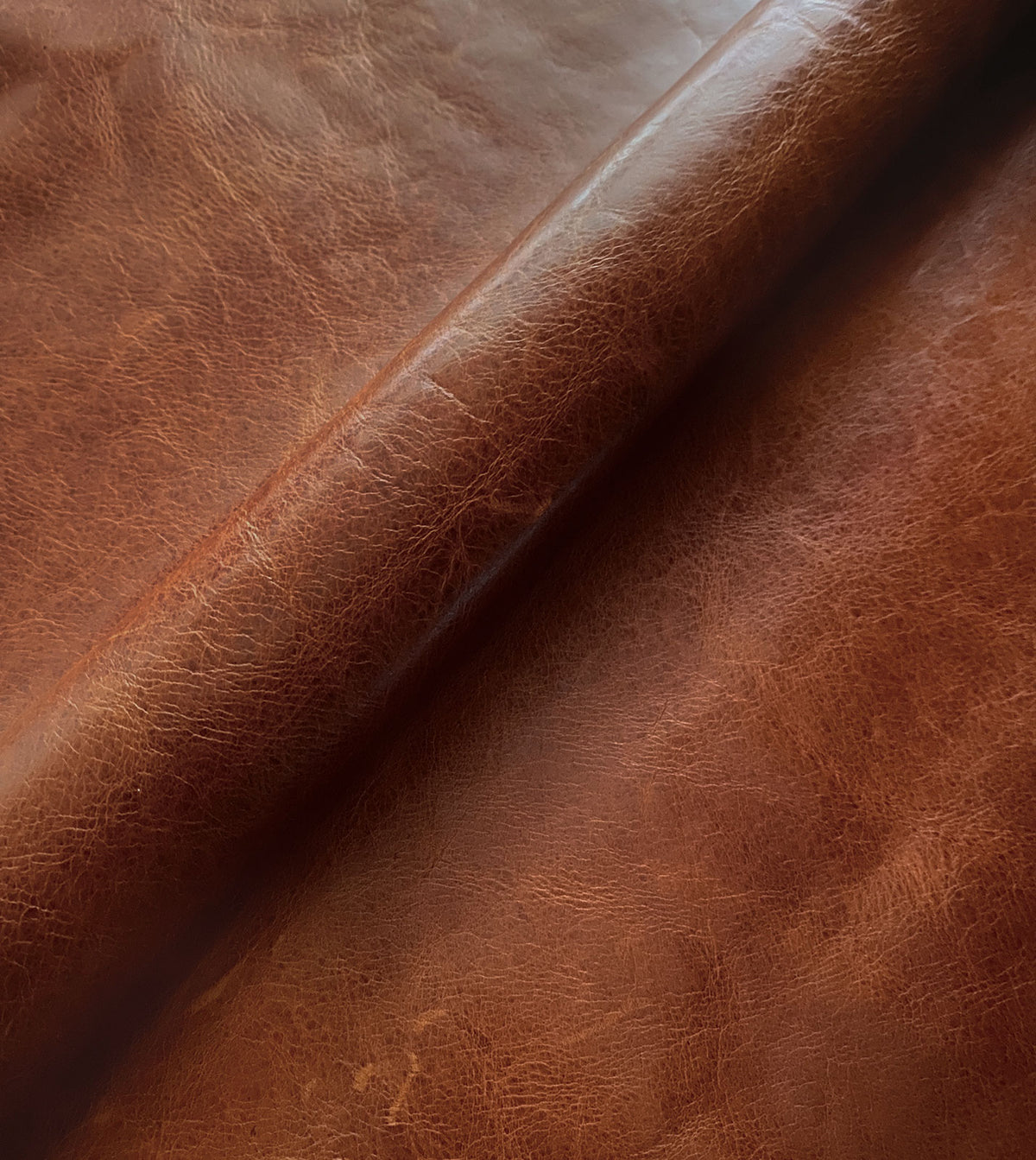 Tudor Cognac Leather Hide Full