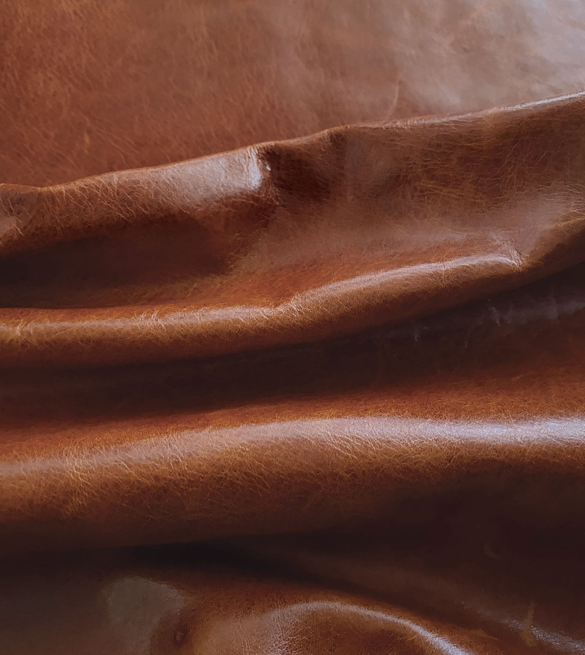 Tudor Cognac Leather Hide Full