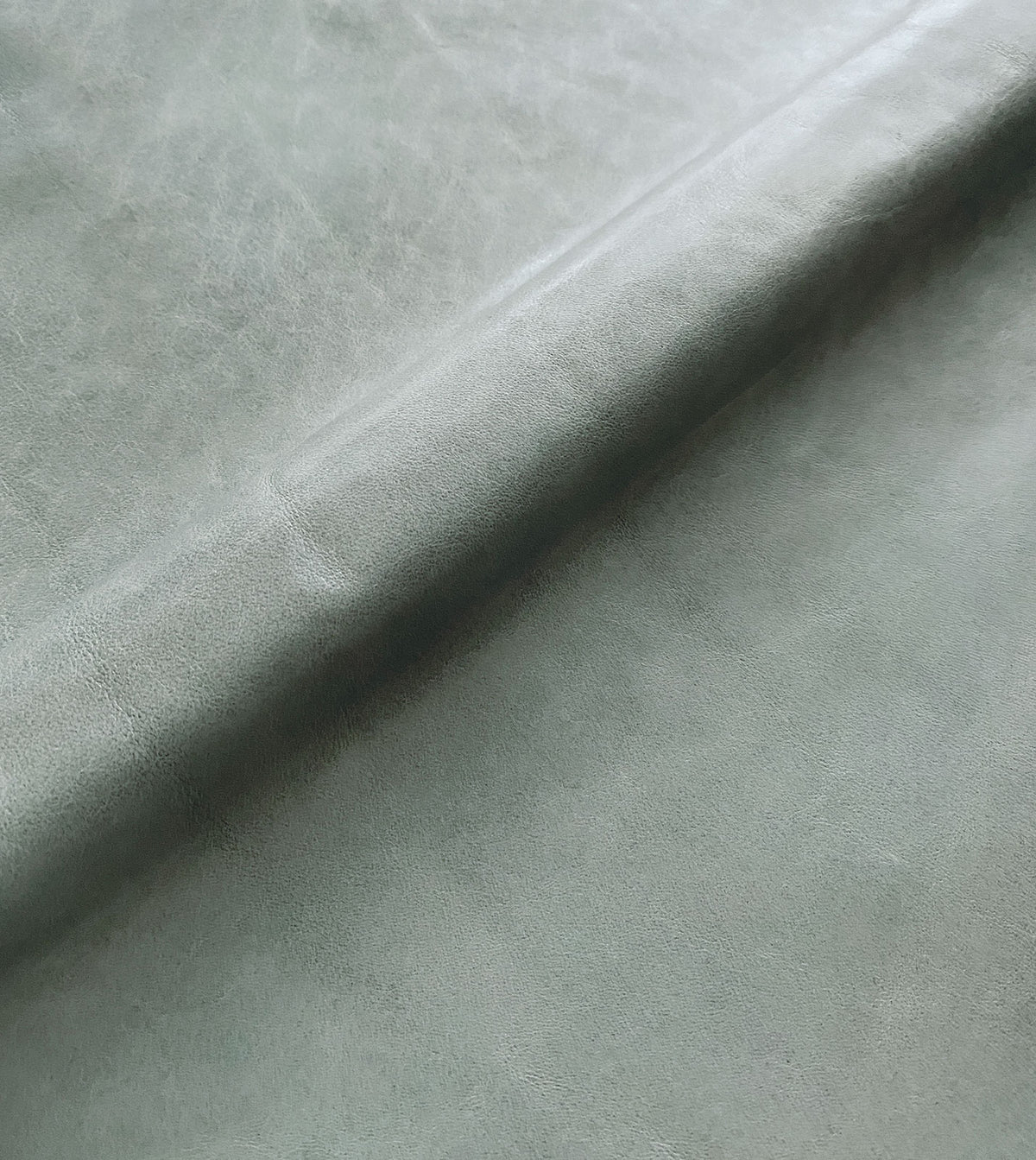 Tudor Dove Leather Hide Full