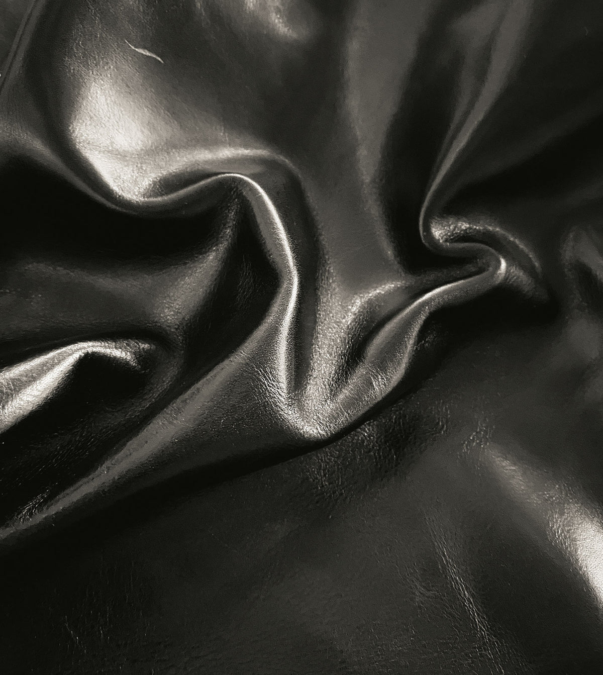 Tudor Onyx Leather Hide Full