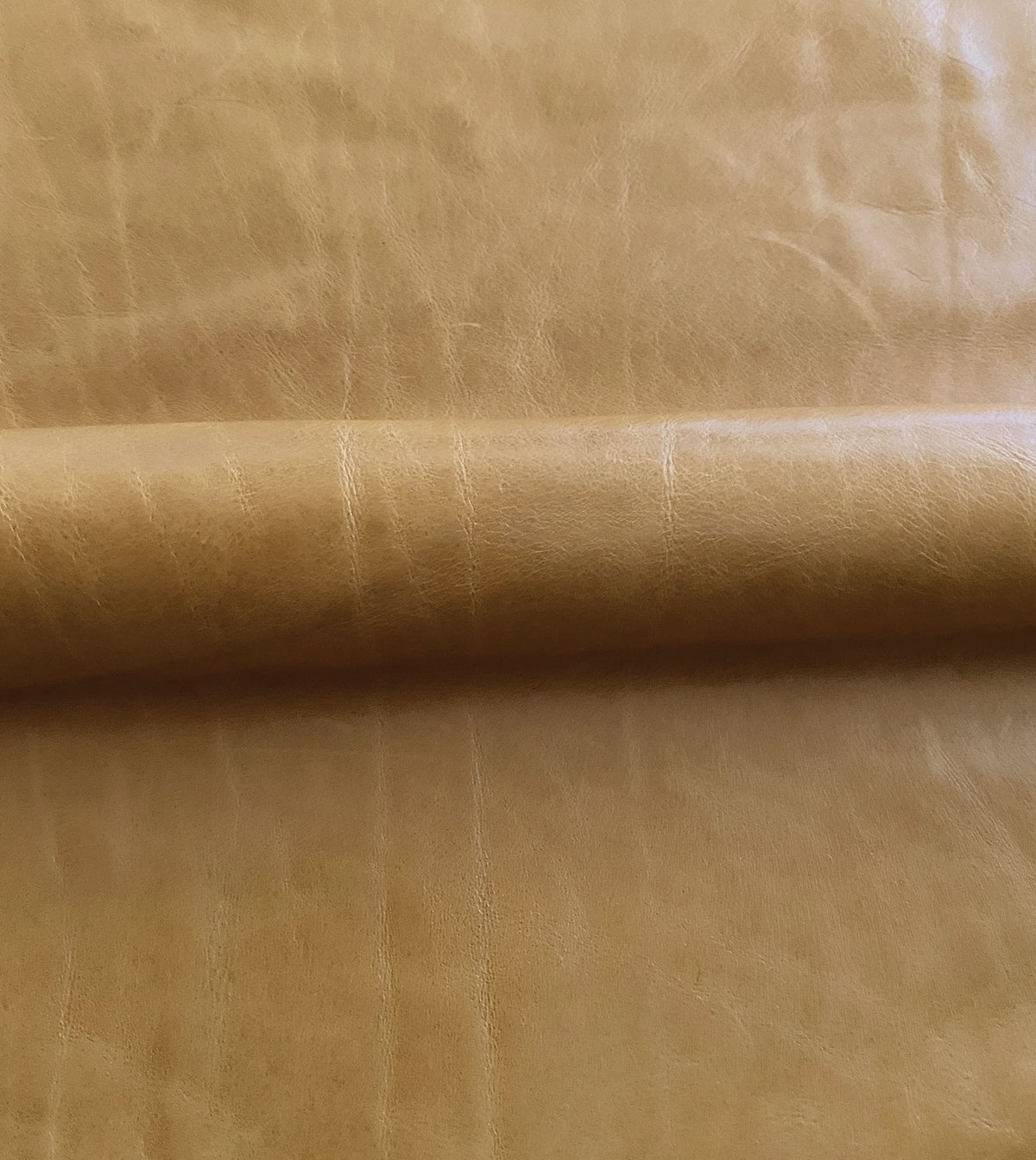 Tudor Gold Leather Hide Full