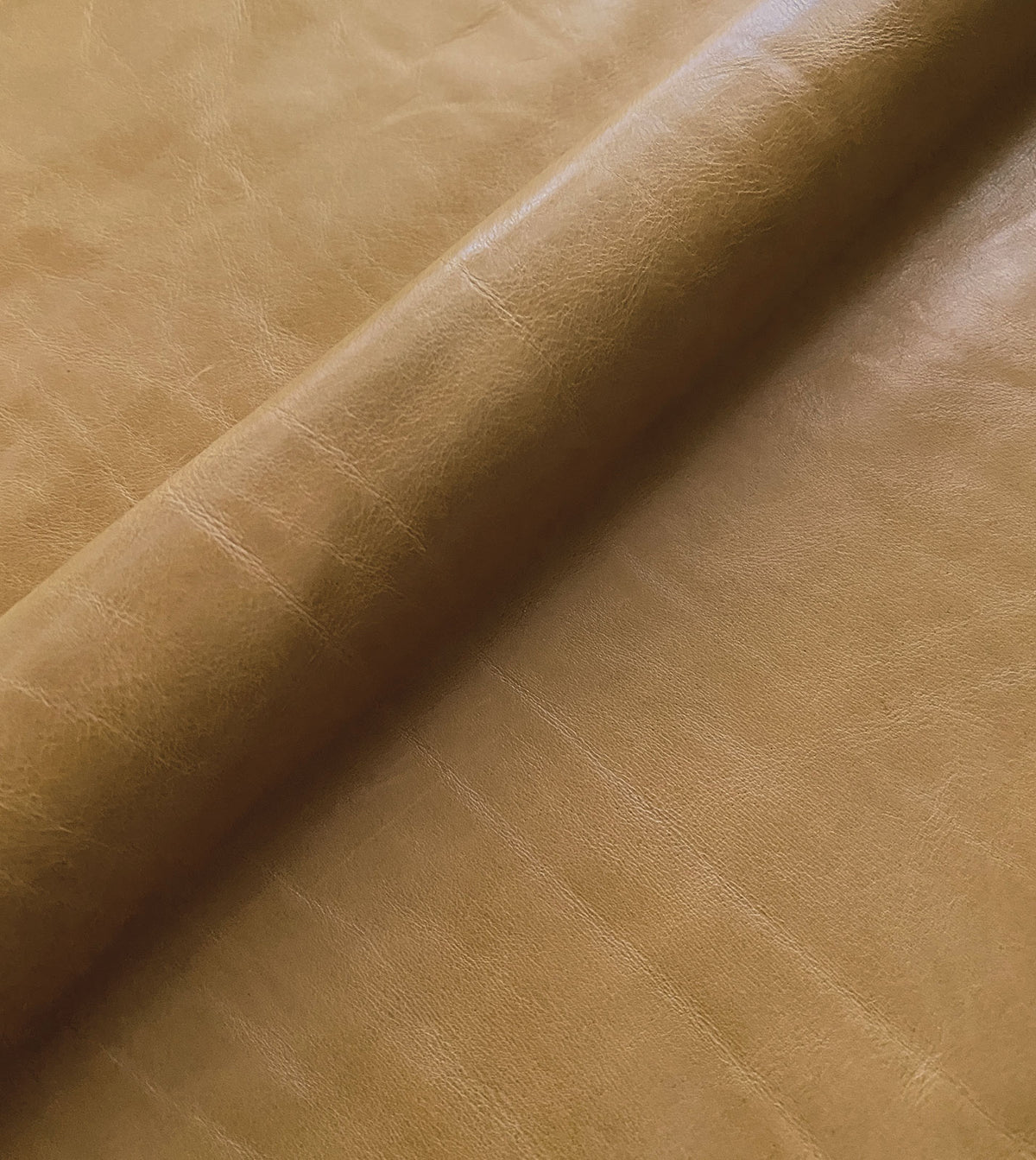 Tudor Gold Leather Hide Full