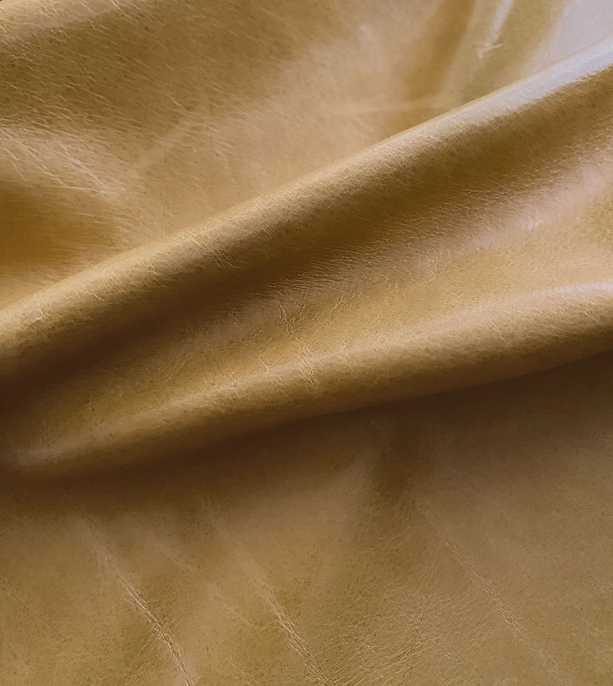 Tudor Gold Leather Hide Full